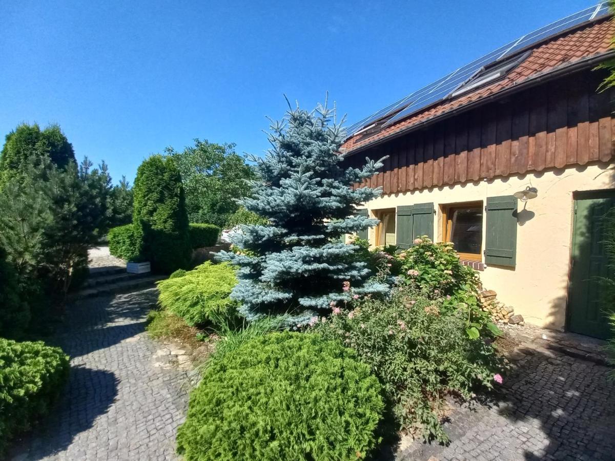 Avalon Polchowo 波莫瑞地区卡缅 外观 照片