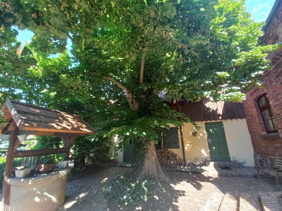 Avalon Polchowo 波莫瑞地区卡缅 外观 照片