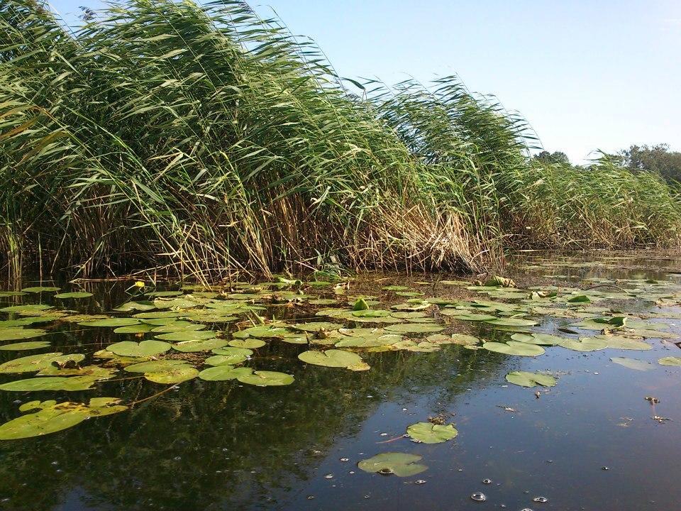 Avalon Polchowo 波莫瑞地区卡缅 外观 照片